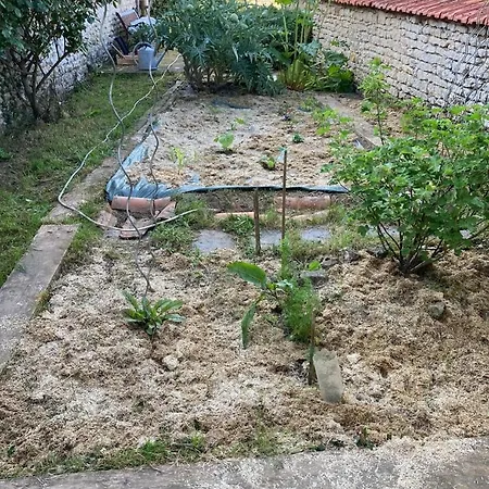 La Parenthese A La - Swimming Pool - Family Semesterbostad